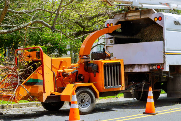 Best Tree Removal Services  in Richland, PA